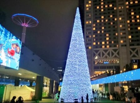 竜の夜からの脱出「イルミネーション」の写真