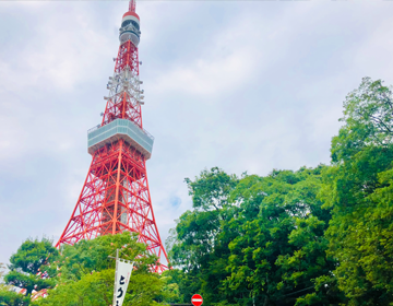 芝公園恋物語「見上げる東京タワー」の写真