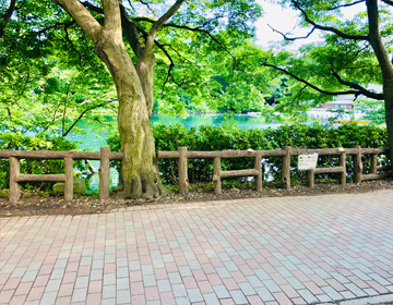 タカラッシュブラックレーベルおすすめ「井の頭公園」の写真