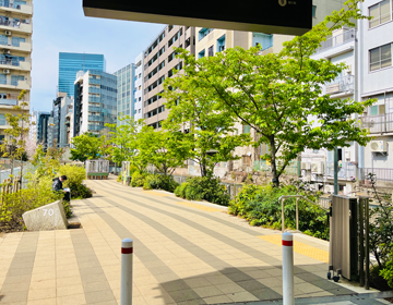 渋谷ゴミ謎「緑の感じられる遊歩道」の写真