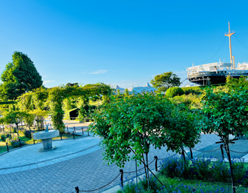 横浜謎「謎解き中に訪れる公園の風景」の写真