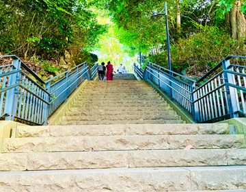横浜謎「階段のあるルート」の写真