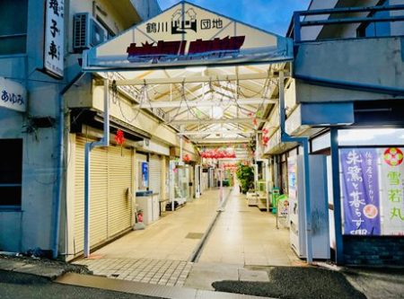 人類小動物化計画篇「鶴川団地のレトロ感ある商店街通り」の写真
