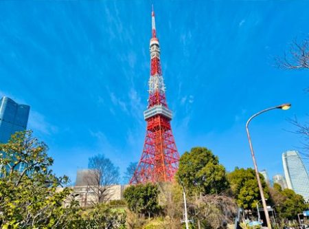東京タワー謎解き「東京タワー遠景」の写真