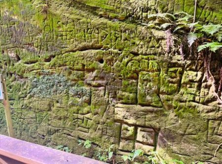 猿島謎解き散歩2023「苔むした壁の様子02」の写真