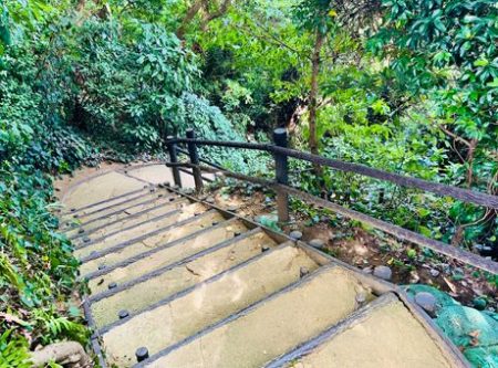 猿島謎解き散歩2023「猿島内の階段の様子」の写真