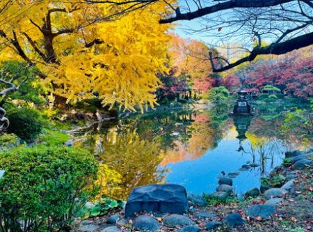 日比谷謎解き「日比谷公園のシンボル、鶴の噴水のある池」の写真