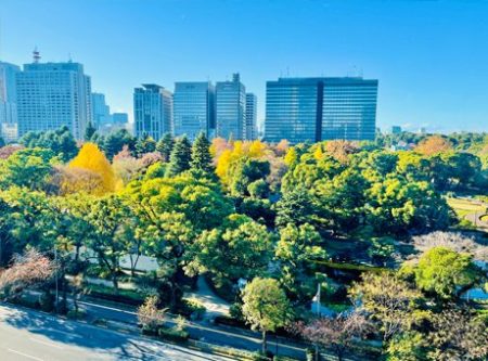 日比谷謎解き「東京ミッドタウン日比谷から見下ろした日比谷公園」の写真