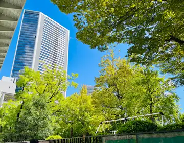 山手線謎めぐり2024「街歩き中に見かけた風景04」の写真