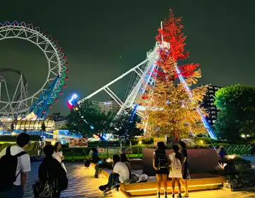 2つの世界と不思議な扉「遊園地の夜景01」の写真