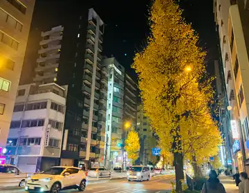 鉄道探偵10「プレイ中に見かけた風景09」の写真