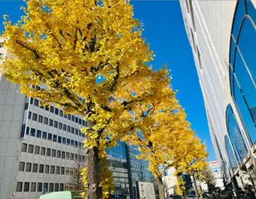 鉄道探偵10「プレイ中に見かけた風景01」の写真