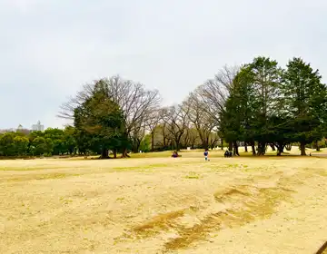 なぞたび列車物語「街歩き中に見かけた風景03」の写真