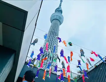 トレインコード「東京スカイツリー」の写真