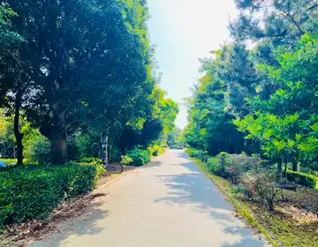 幕張謎解き街歩き「周遊中に見かけた風景01」の写真