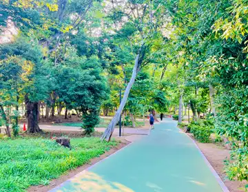 ナゾ解きした町電車旅2025「立ち寄った公園01」の写真