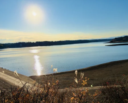 なぞたび列車物語2026「プレイ中の風景05」の写真