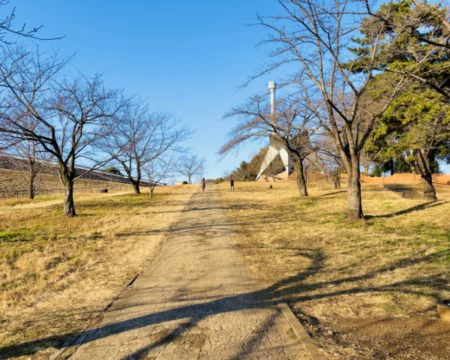 なぞたび列車物語2026「プレイ中の風景06」の写真