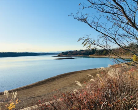 なぞたび列車物語2026「プレイ中の風景04」の写真