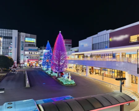 なぞたび列車物語2026「夜景」の写真