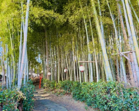 謎街トレイン2026「周遊中の光景08」の写真