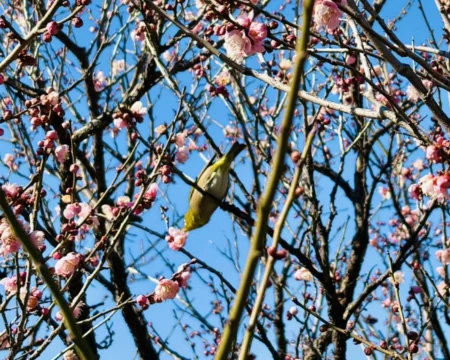 謎街トレイン2026「周遊中の景観02」の写真