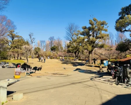 謎街トレイン2026「周遊中の景観03」の写真