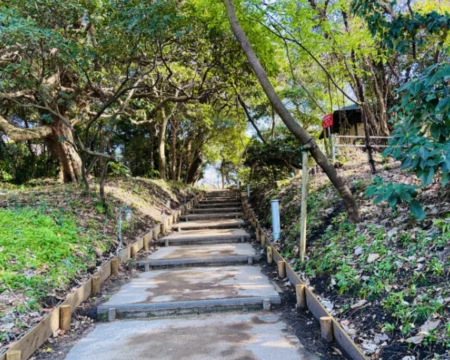 エノシマトレジャー2026「プレイ中の風景02」の写真