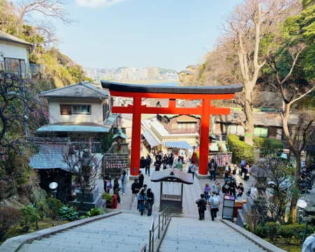 エノシマトレジャー2026「プレイ中の風景04」の写真