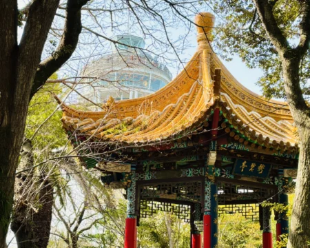 エノシマトレジャー2026「プレイ中の風景06」の写真